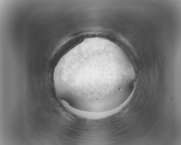 X0000063531352200602172231