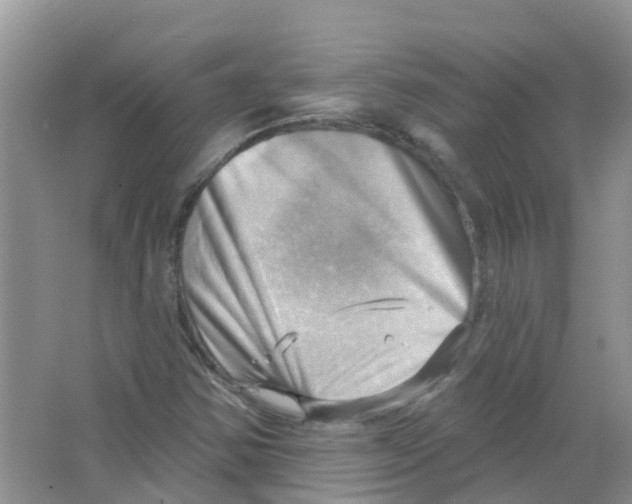 X0000063531354200602172231