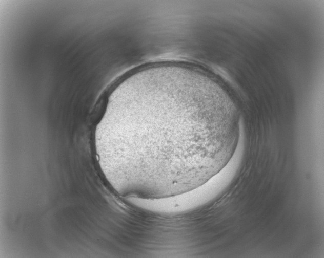 X0000063531356200602172231