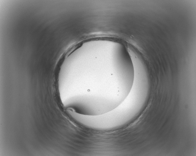 X0000063531357200602172231