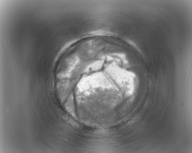 X0000063531358200602172231