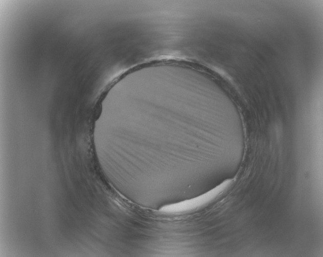 X0000063531359200602172231