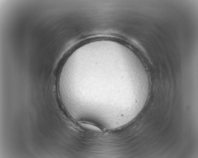 X0000063531360200602172231