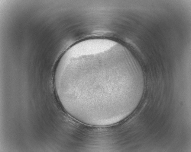 X0000063531362200602172231