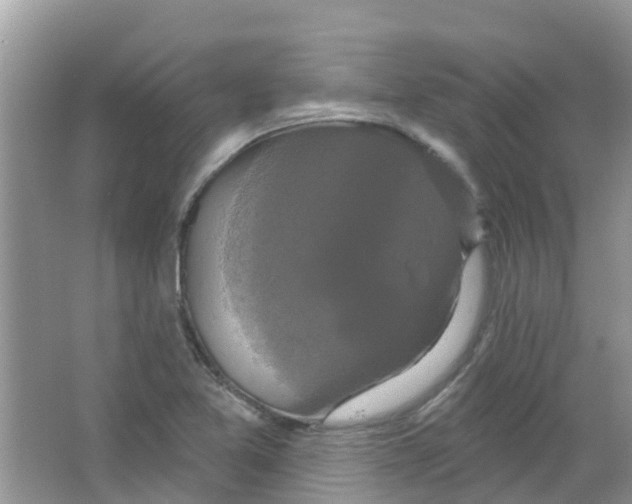 X0000063531365200602172231