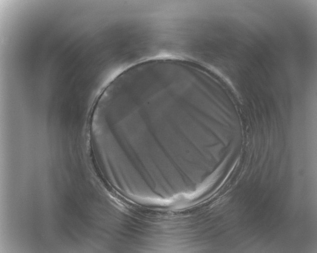 X0000063531367200602172231