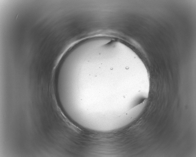 X0000063531368200602172231