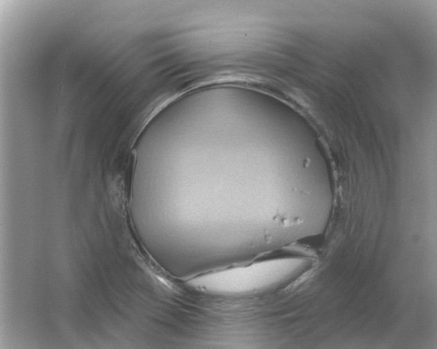 X0000063531369200602172231