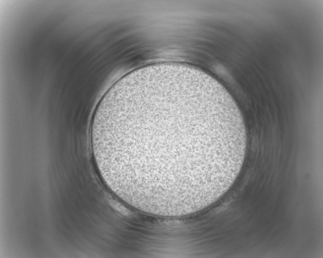 X0000063531370200602172231