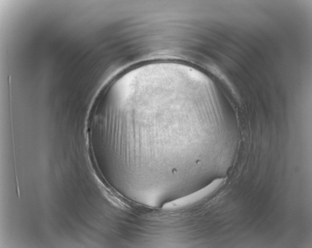 X0000063531372200602172231