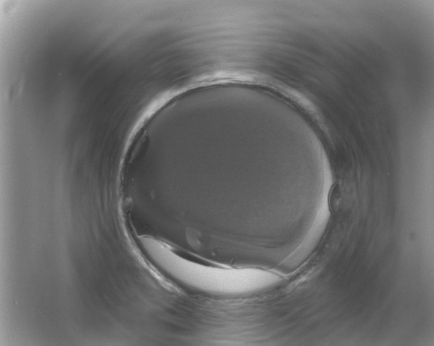 X0000063531373200602172231