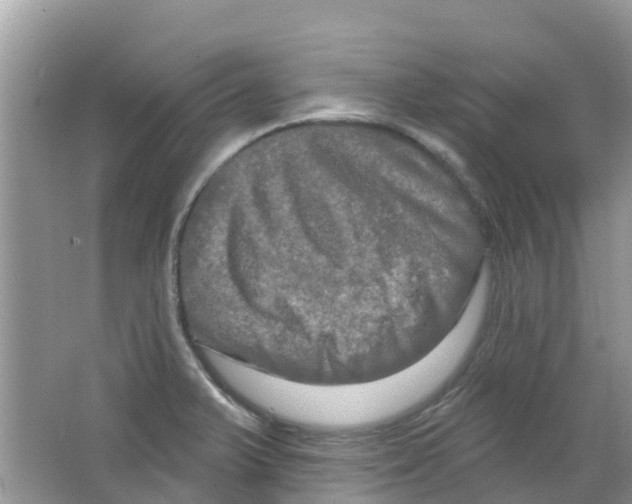 X0000063531375200602172231