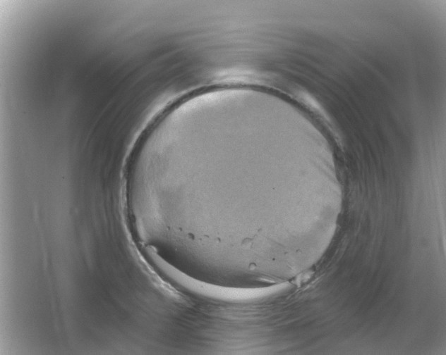 X0000063531376200602172231