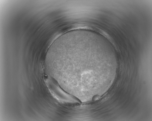 X0000063531377200602172231