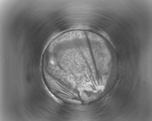 X0000063531379200602172231