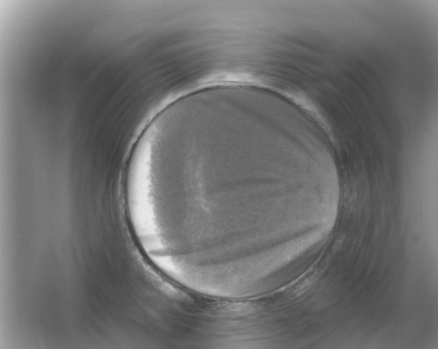 X0000063531382200602172231