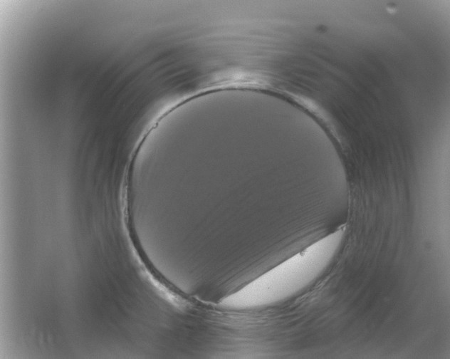 X0000063531383200602172231