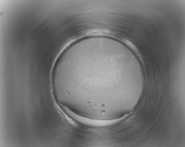 X0000063531384200602172231