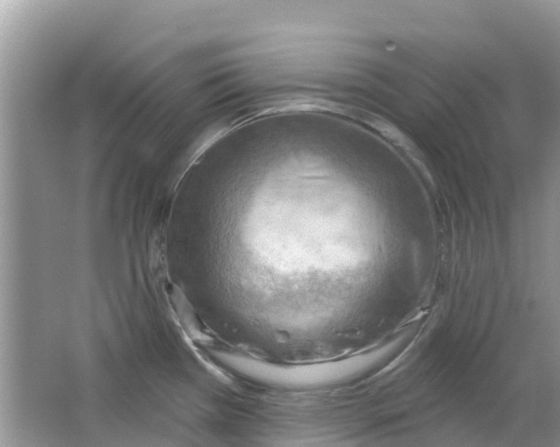 X0000063531385200602172231