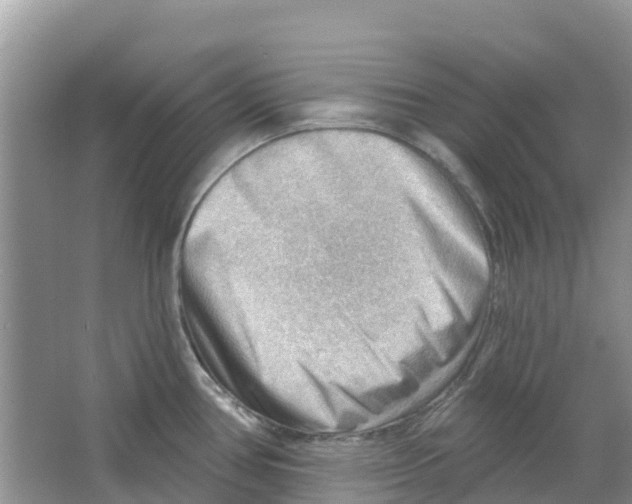 X0000063531386200602172231