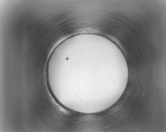 X0000063531387200602172231