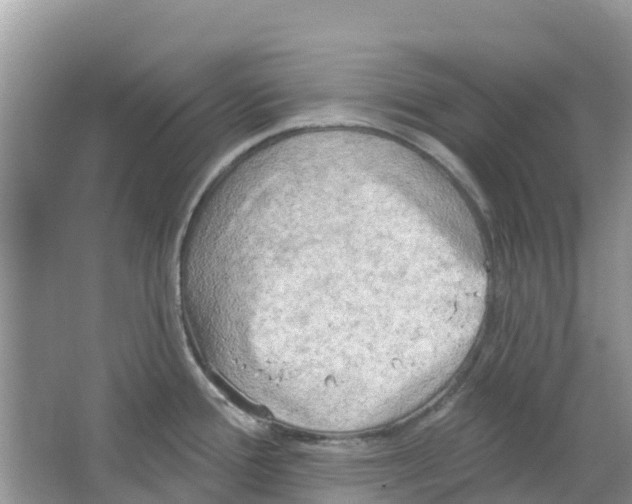 X0000063531388200602172231