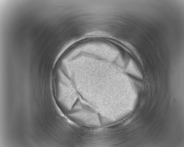 X0000063531390200602172231