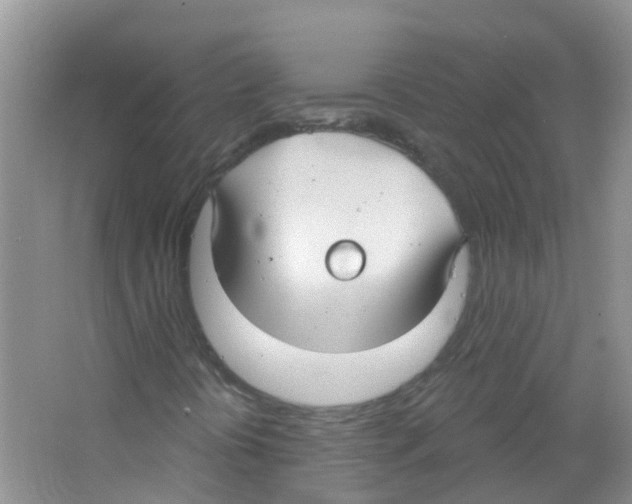 X0000063531394200602172230