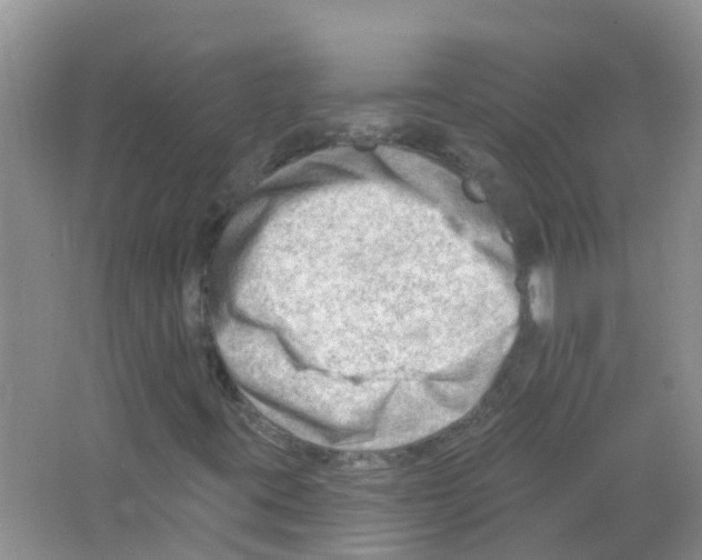 X0000063531395200602172230