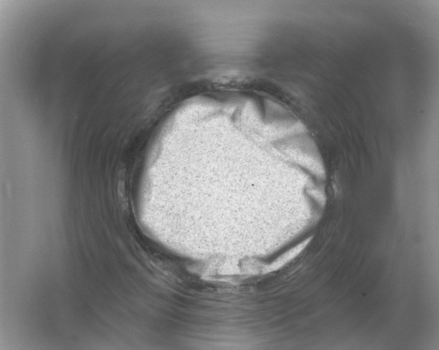 X0000063531396200602172230