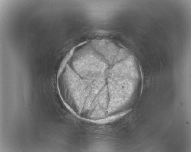 X0000063531397200602172230