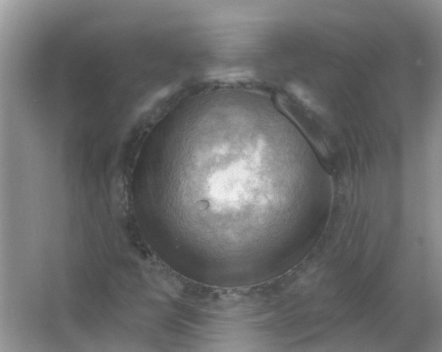 X0000063531398200602172230