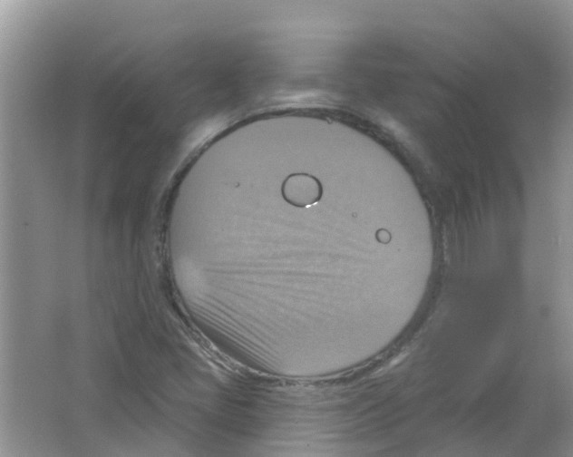 X0000063531405200602172230