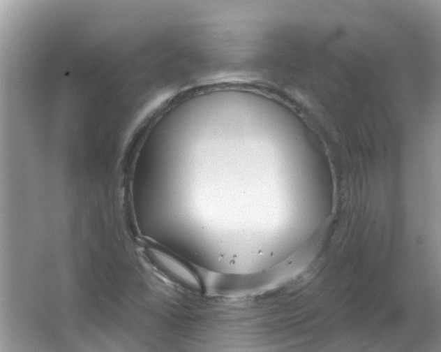 X0000063531406200602172230