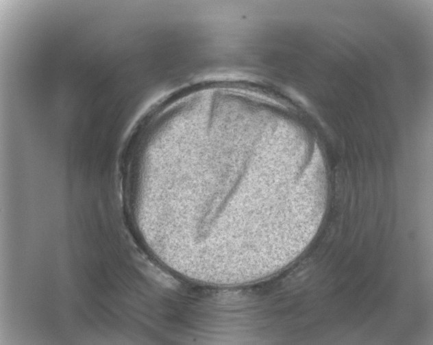 X0000063531408200602172230