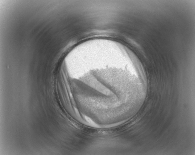 X0000063531411200602172230