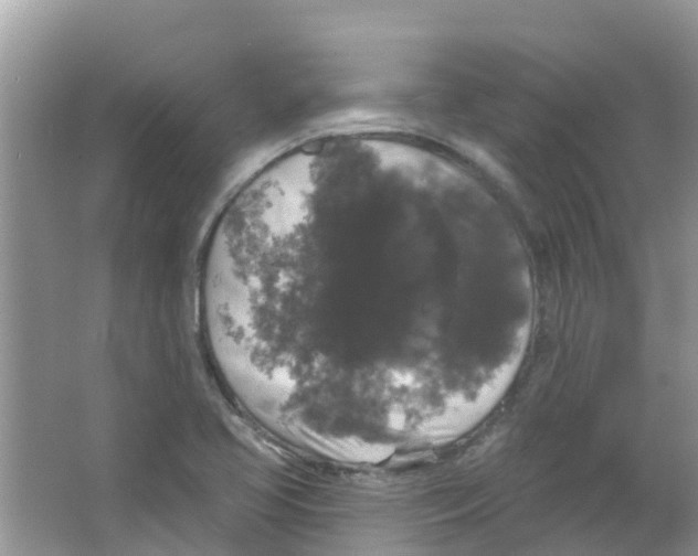 X0000063531413200602172230