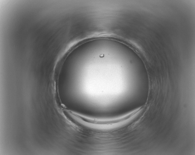 X0000063531414200602172230