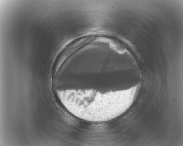 X0000063531415200602172230