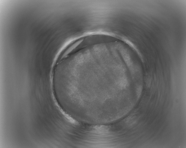 X0000063531416200602172230