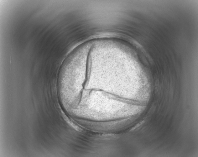 X0000063531417200602172230