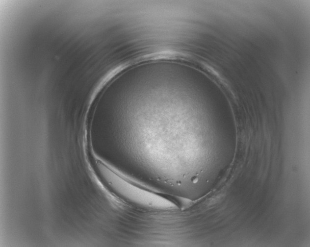 X0000063531418200602172230