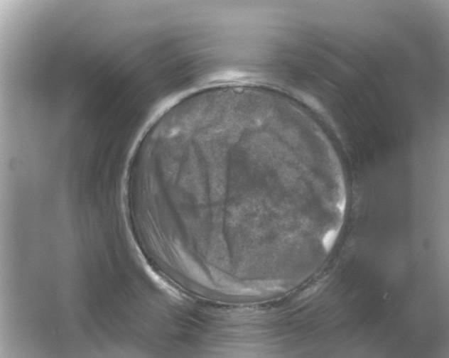 X0000063531421200602172230