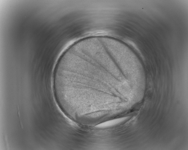 X0000063531424200602172230