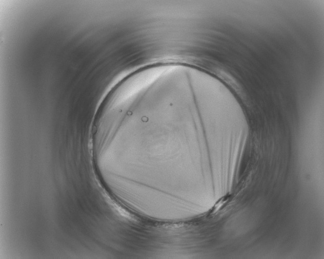 X0000063531428200602172230