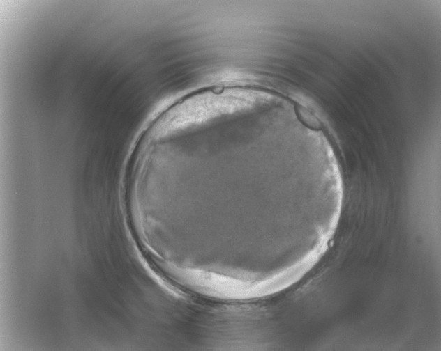 X0000063531429200602172230