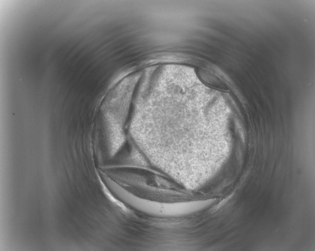 X0000063531433200602172230