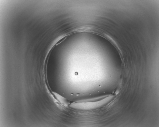 X0000063531434200602172230