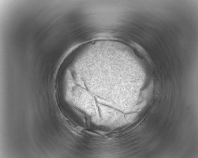 X0000063531435200602172230