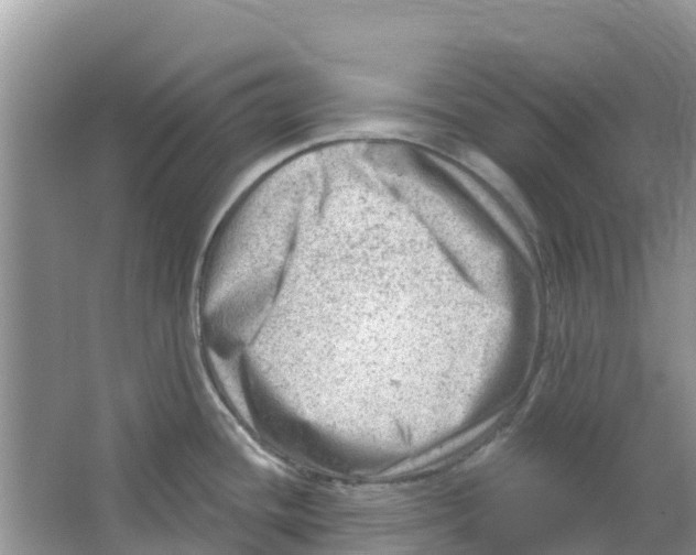 X0000063531436200602172230